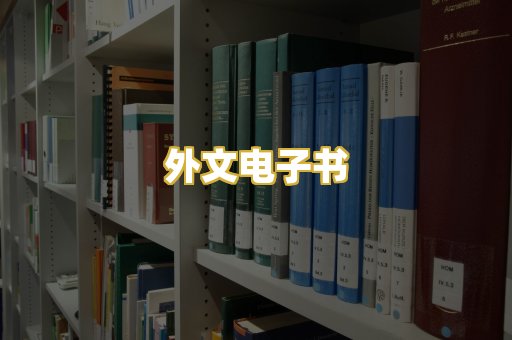 外文电子书
